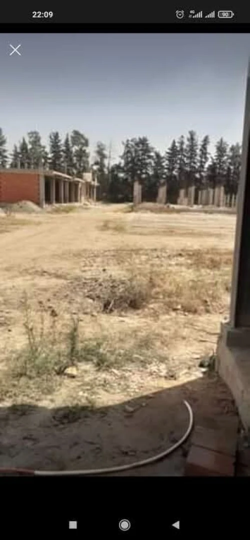 Vente Terrain Blida Chebli