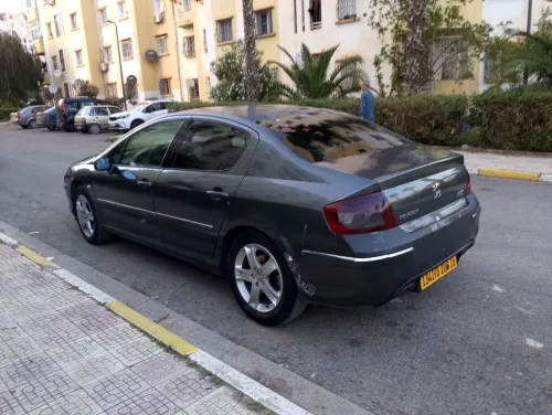 Peugeot 407 2008 407