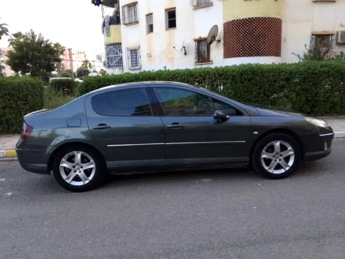 Peugeot 407 2008 407