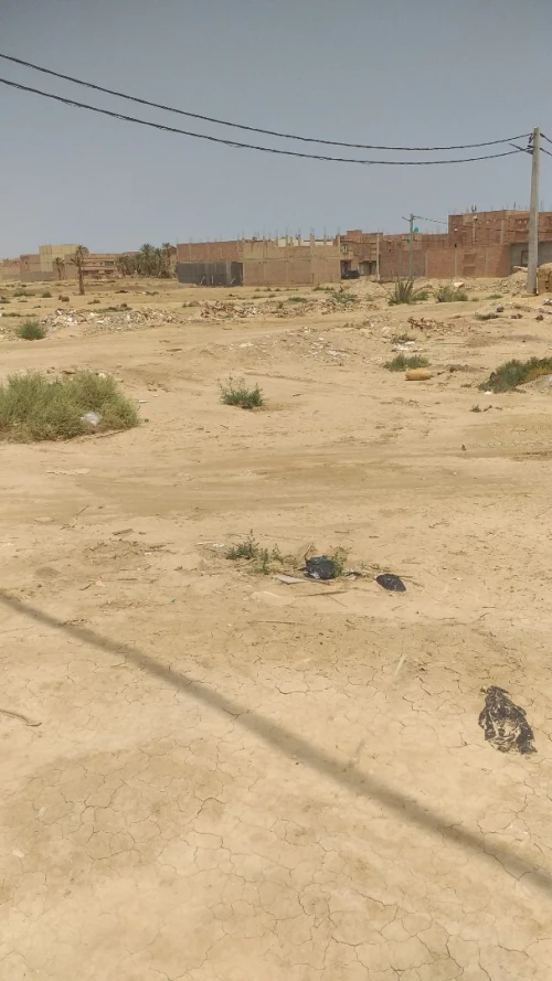 Vente Terrain Biskra Biskra