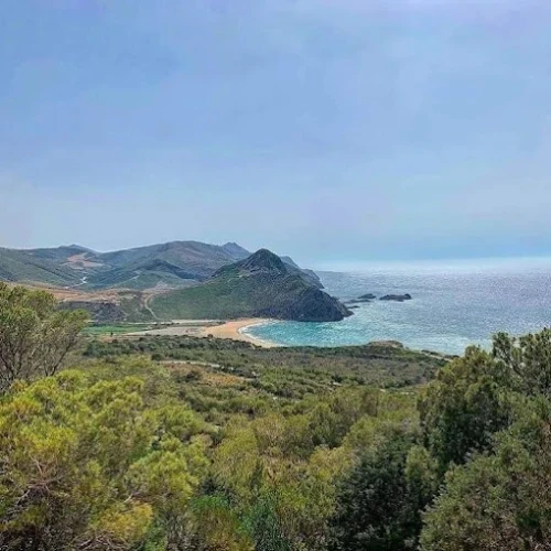 Vente Villa Oran Oran