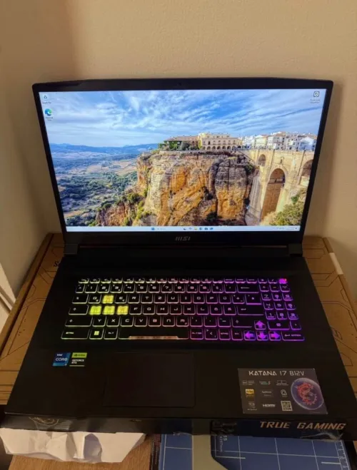 MSI KATANA 17 B12V
