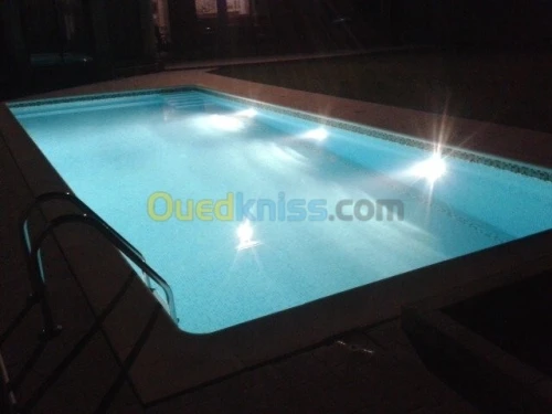 Vente Villa Blida Chebli