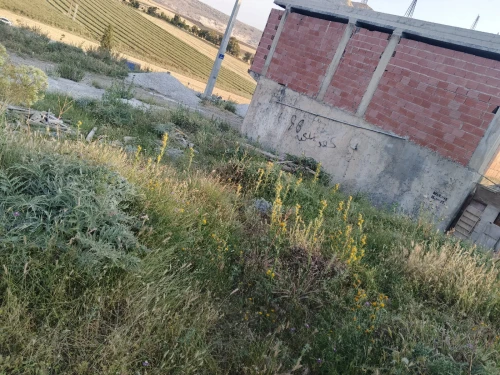 Vente Terrain Constantine El haria