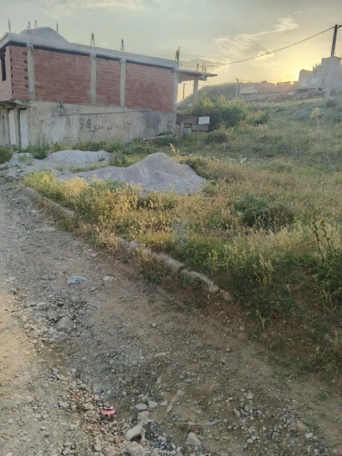 Vente Terrain Constantine El haria