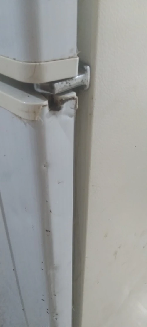 Frigo