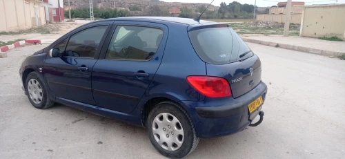 Peugeot 307 2006 Oxygo