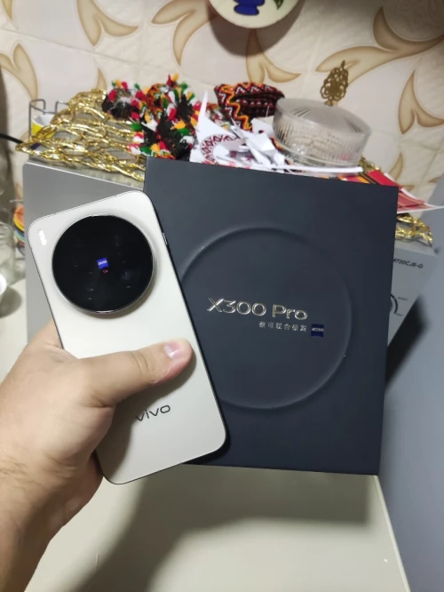 Vivo X300 pro