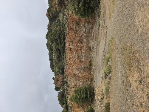 Vente Terrain Tlemcen Tlemcen