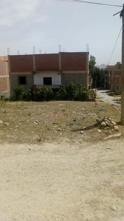 Vente Terrain Constantine Ibn ziad
