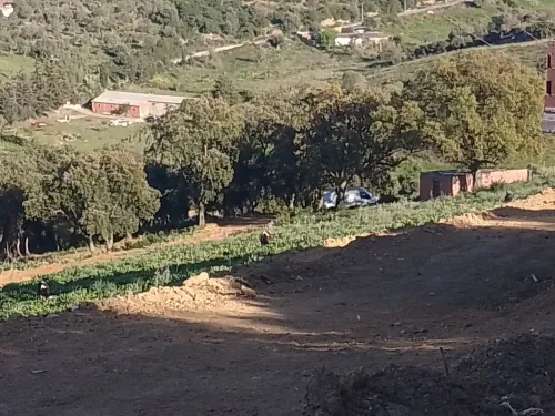Vente Terrain Jijel Jijel