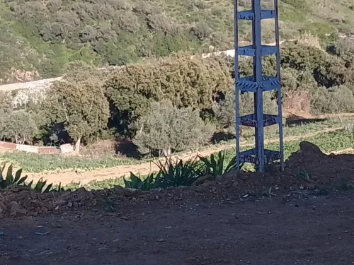 Vente Terrain Jijel Jijel