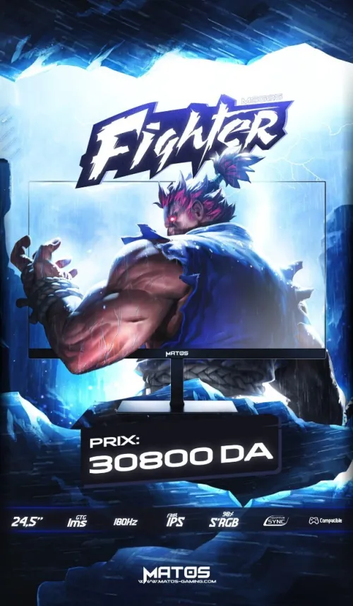 Matos fighter 