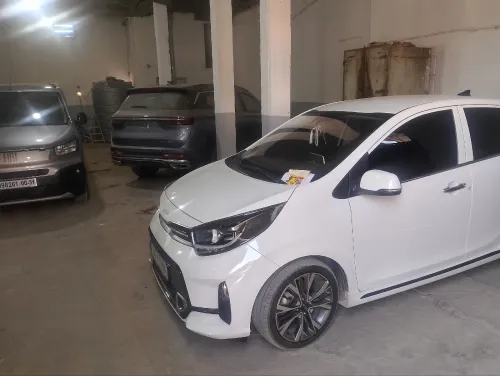 Kia Picanto 2023 Tt options