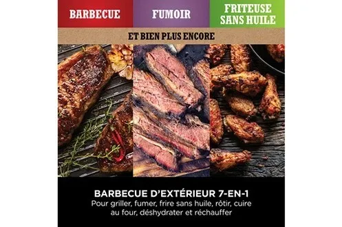 Ninja  Barbecue électrique et fumoir Woodfire OG701EU