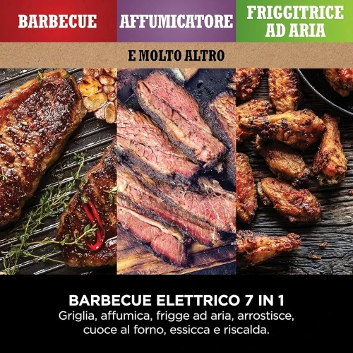 Ninja  Barbecue électrique et fumoir Woodfire OG701EU