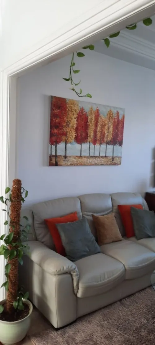 Vente Appartement F3 Alger Said hamdine