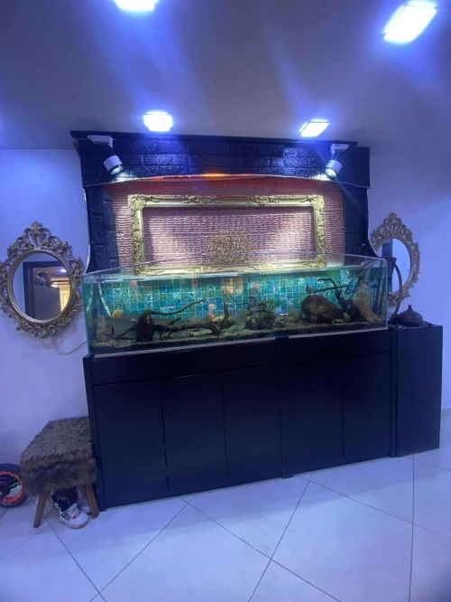 Vente Appartement F3 Alger Baba hassen