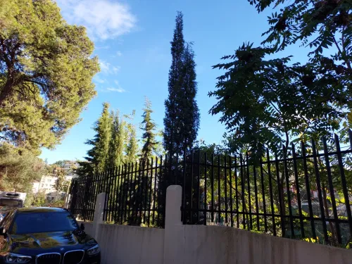 Location Appartement Alger Hydra