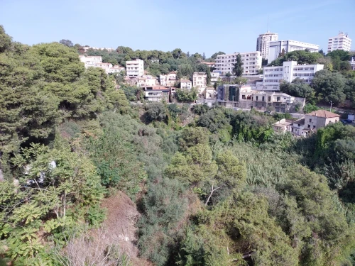 Location Appartement Alger Hydra