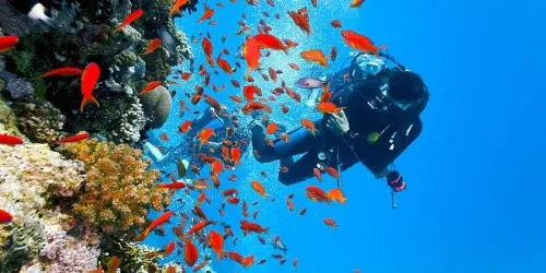 voyage organisé monastir par bus