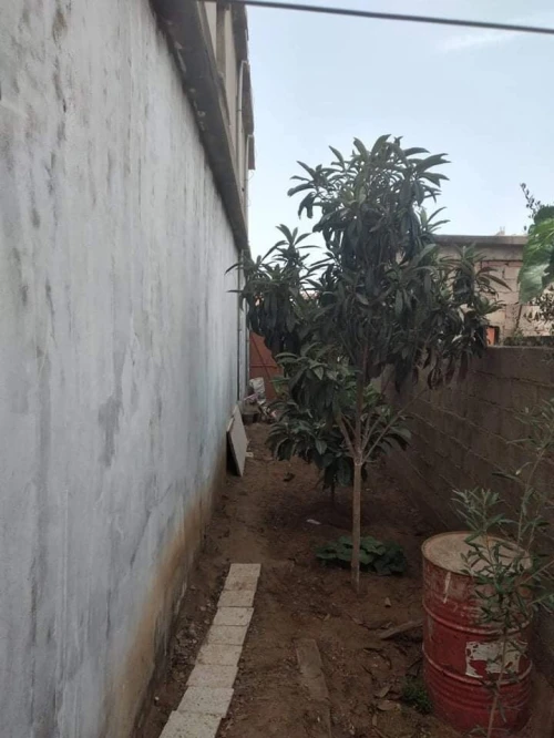 Vente Villa El Tarf Echatt