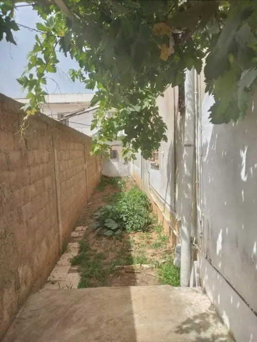 Vente Villa El Tarf Echatt