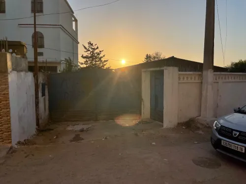Vente Terrain Skikda Skikda