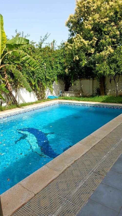 Vente Villa Alger Hydra