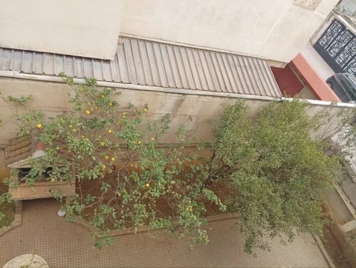 Vente Villa Alger Douera