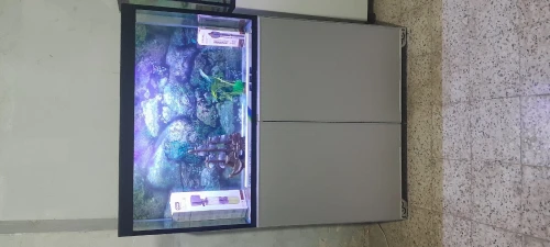 Aquarium 