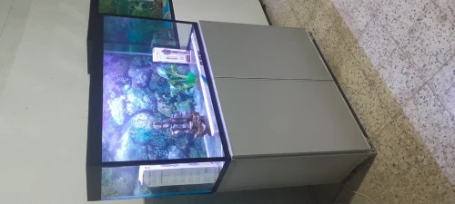 Aquarium 
