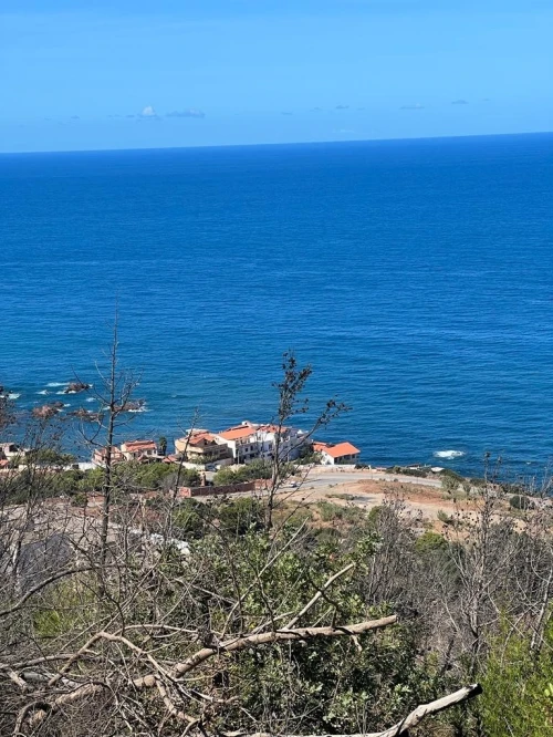 Vente Terrain Tipaza Tipaza