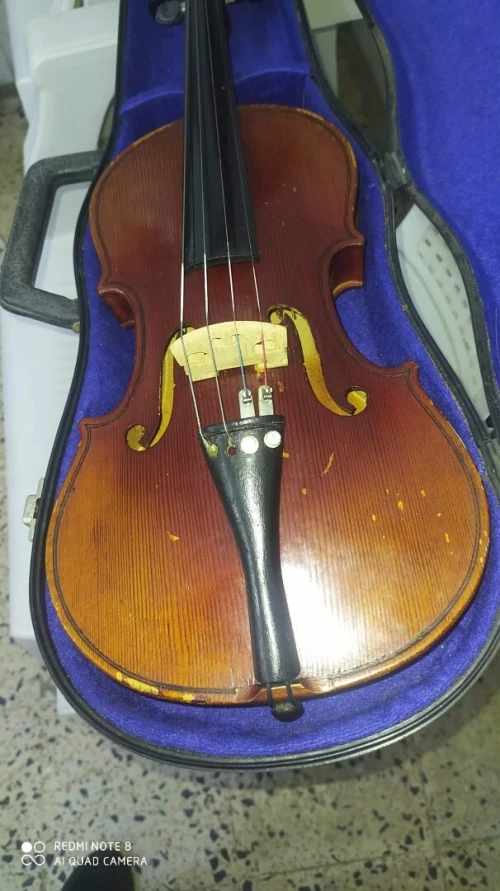 Violon