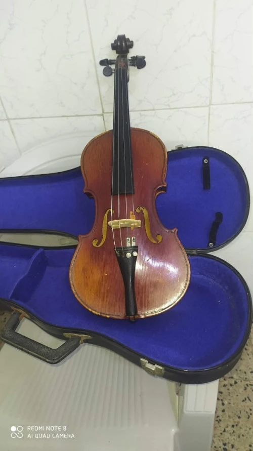 Violon