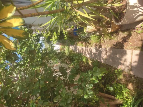 Location Villa Tipaza Tipaza