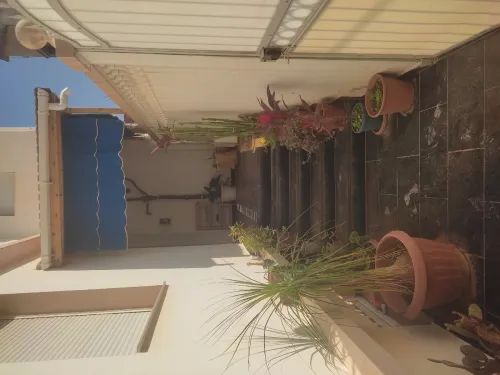 Location Villa Tipaza Tipaza