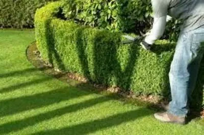 Entreprise d'aménagement des espaces verts 