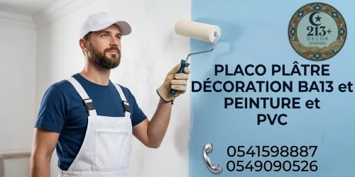 peintre professionnel Et placo ba13