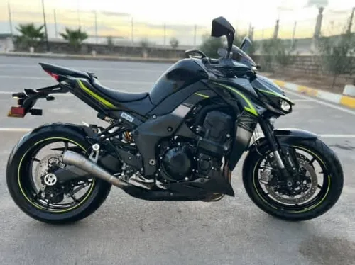 Kawasaki Z1000 2019