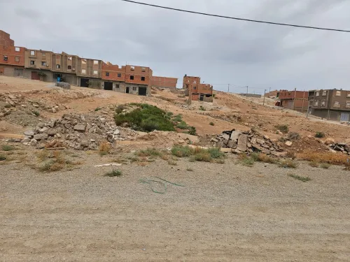 Vente Terrain Tlemcen Maghnia