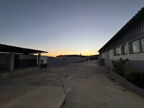 Vente Hangar Guelma Guelma