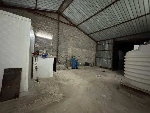 Vente Hangar Guelma Guelma