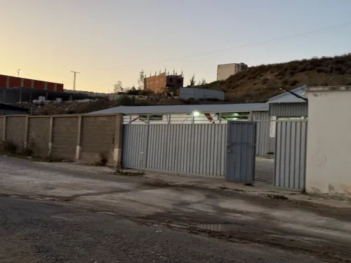 Vente Hangar Guelma Guelma