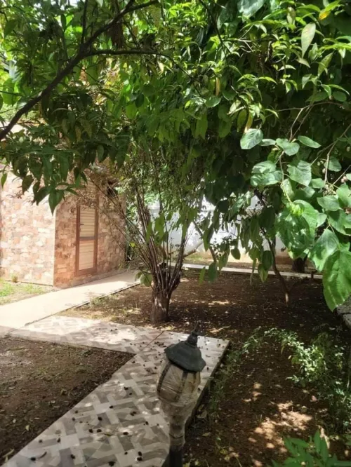 Vente Villa Alger Dar el beida