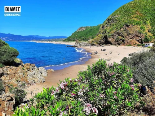 Location vacances Appartement Niveau de villa F2 Skikda Oued zehour