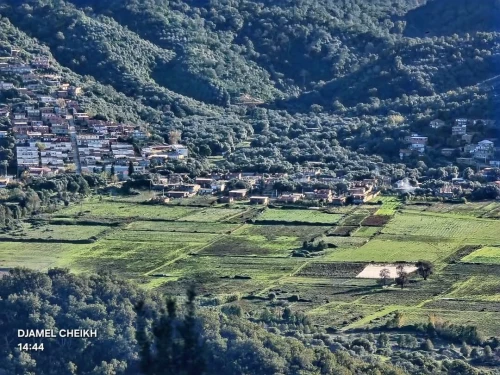 Location vacances Appartement Niveau de villa F2 Skikda Oued zehour