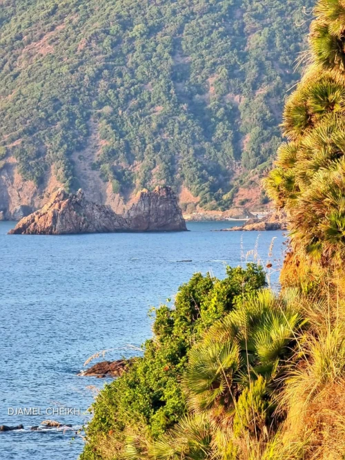 Location vacances Appartement Niveau de villa F2 Skikda Oued zehour