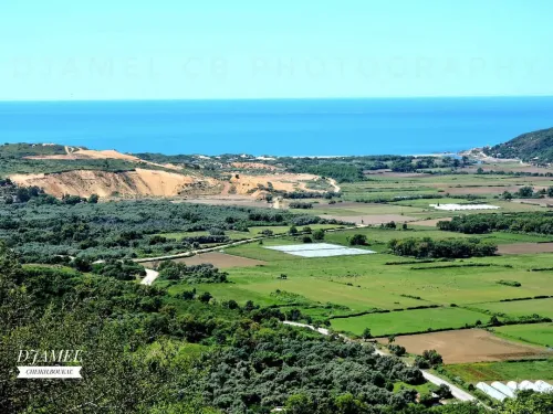 Location vacances Appartement Niveau de villa F2 Skikda Oued zehour