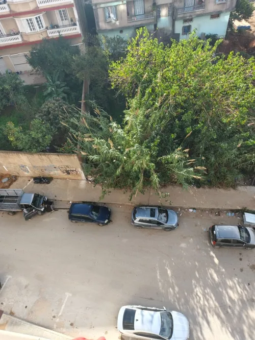 Vente Appartement F3 Jijel Jijel